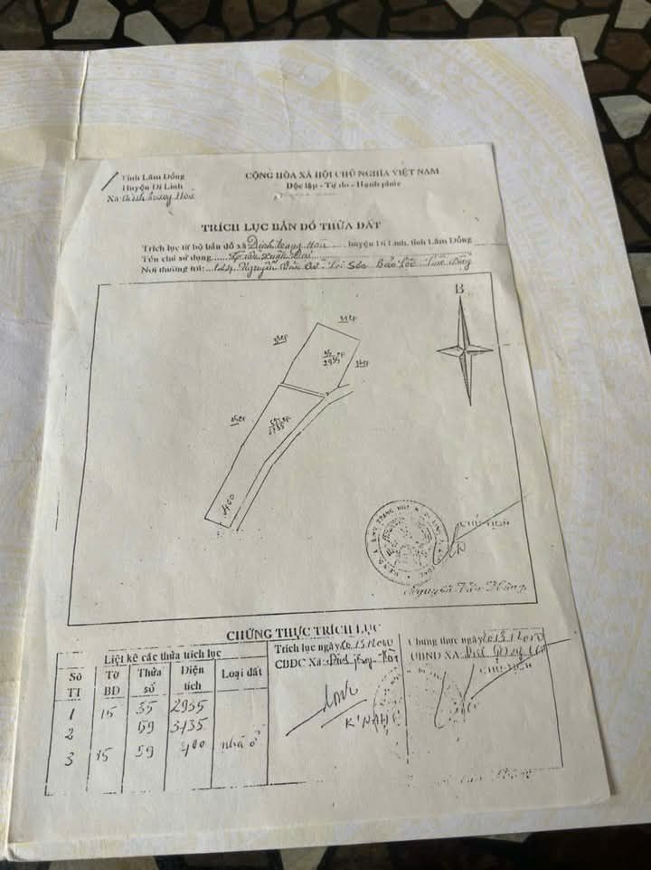 Đất nền Đinh Trang Hòa 170m² giá chỉ 10.2 tỷ - Cơ hội đầu tư hấp dẫn!