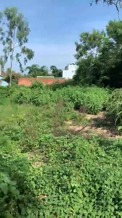 Đất nền Hòa Hiệp, Đông Hòa, 96m² giá 770 triệu – Đất ở thuận lợi, thương lượng tốt!