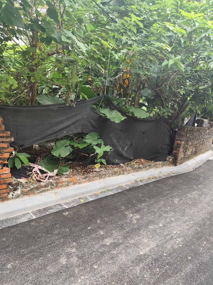 Đất nền Nguyên Khê 60m² giá 4.8 tỷ - Hạ tầng hoàn thiện, tiện ích đa dạng!