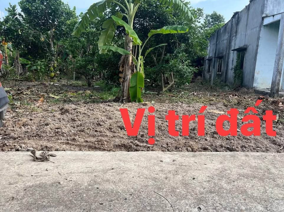 Đất nền Phú Hoà Định Quán 165m² giá chỉ 520 triệu - Sổ hồng chính chủ!