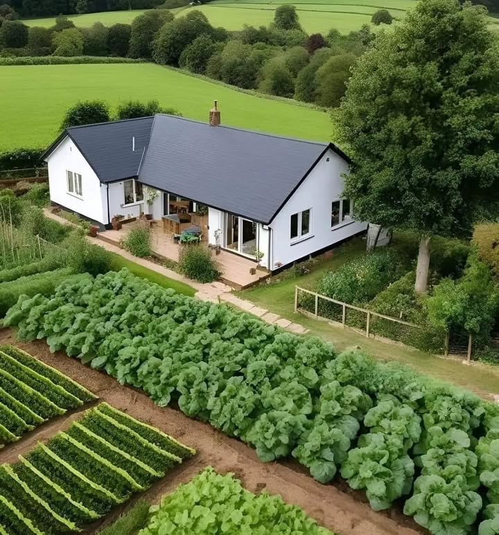 Đất nền 1000m² Bảo Vinh, Long Khánh, Đồng Nai giá 1.35 tỷ - Đầu tư sinh lời lý tưởng!