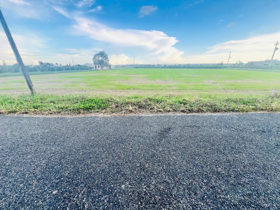 Đất thổ cư 300m² mặt tiền nhựa thôn Phú Hưng, Hàm Mỹ - Giá 3 tỷ hấp dẫn!