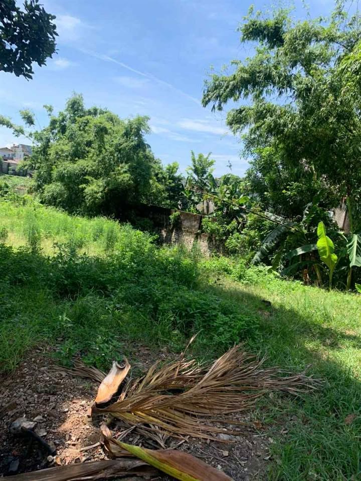 Đất mặt đê Bột Xuyên, Mỹ Đức 105m² giá 1.785 tỷ - Đầu tư sinh lời ngay!