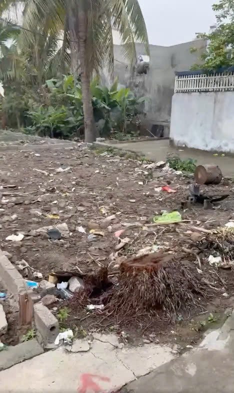 Nhà lô góc 46m² tại Hùng Vương, Hải Phòng - Đón gió và ánh sáng tự nhiên!