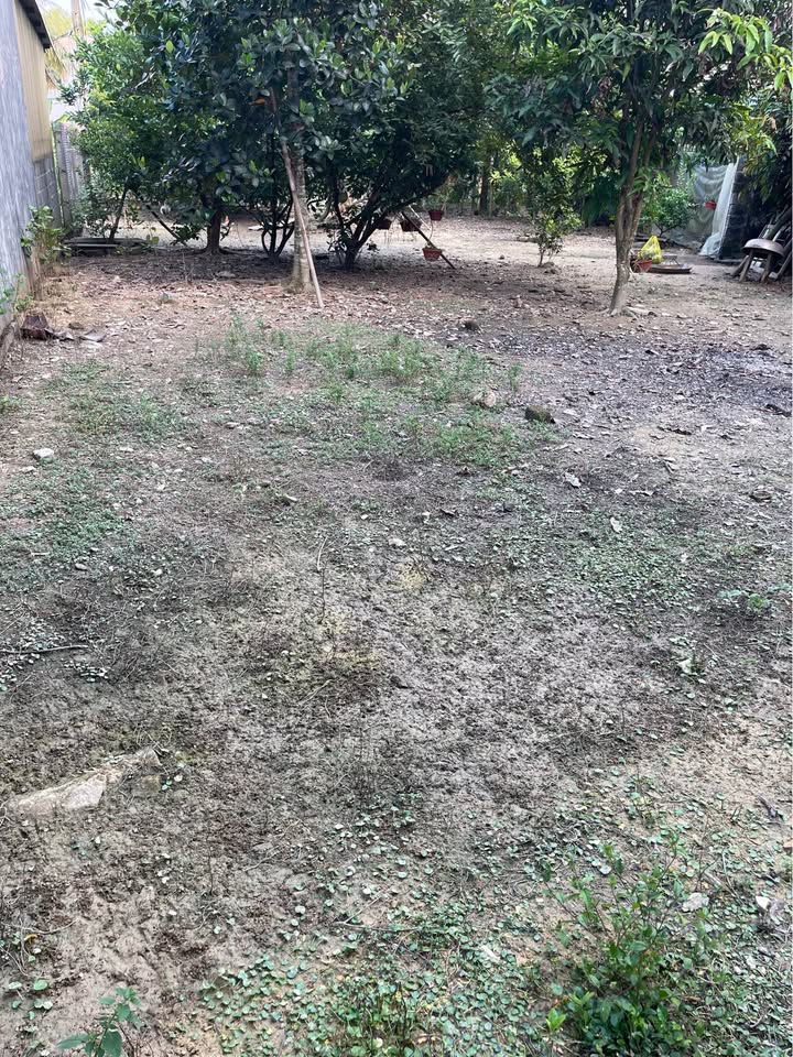 Đất chính chủ tổ 4, phường Minh Xuân, Tuyên Quang 140m² - Thích hợp đầu tư!