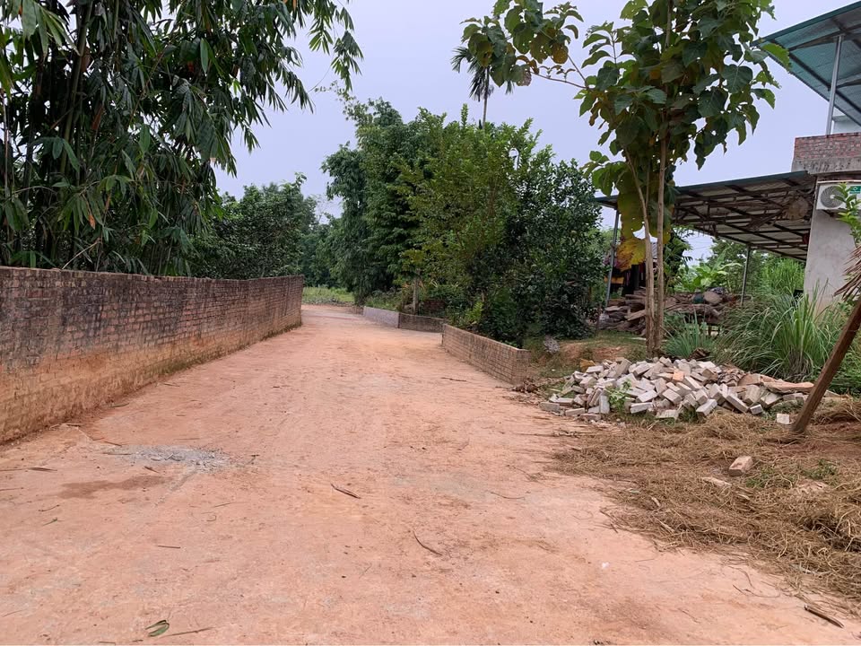 Đất thổ cư An Tường 180m² giá 900 triệu - Vị trí đẹp, giao thông thuận lợi!