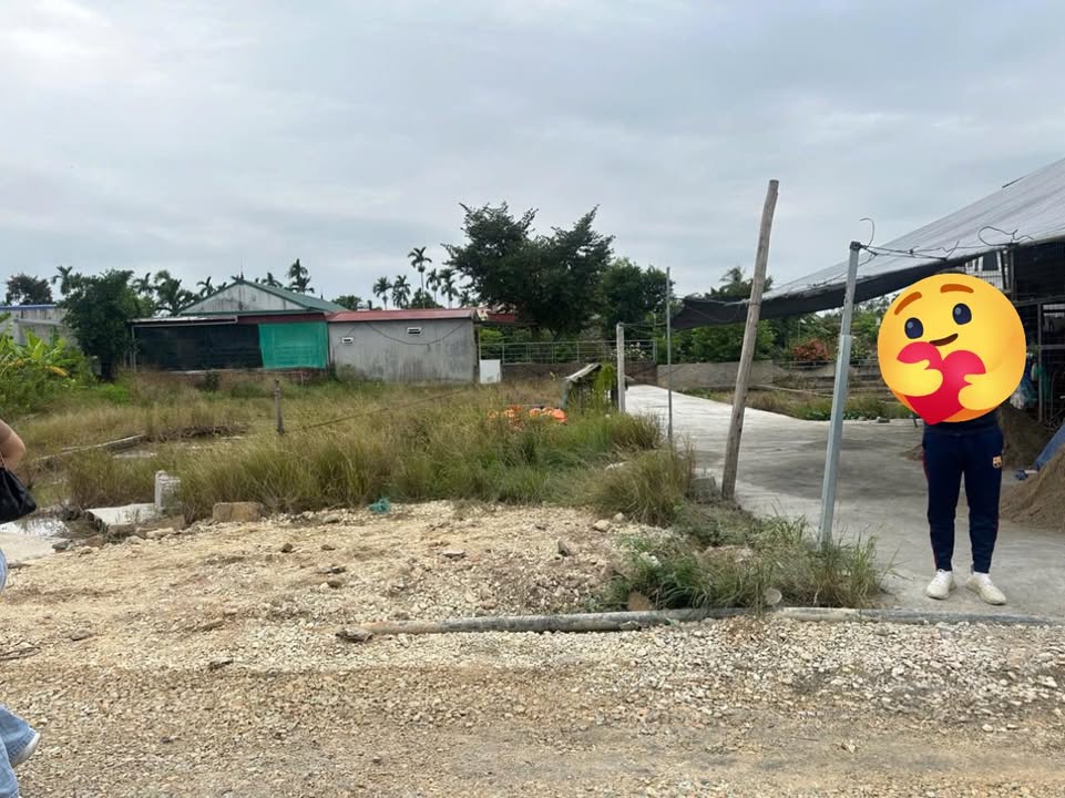 Đất nền Thôn Câu Trung, An Lão 72m² giá 1 tỷ - Vị trí đắc địa, đầu tư sinh lời!