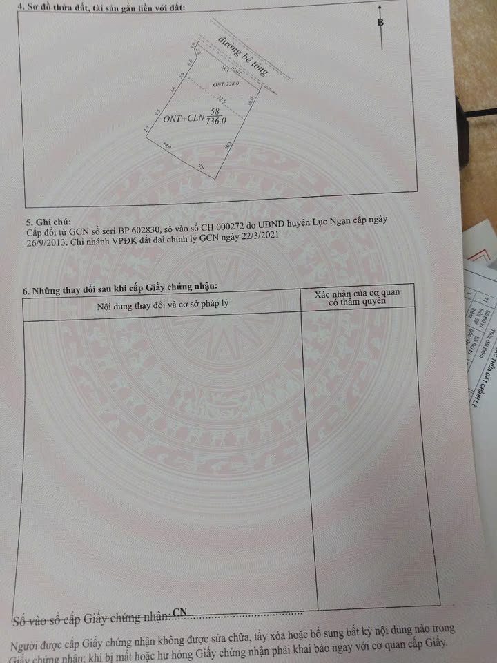 Đất nền Tân Quang Lục Ngạn 736m² giá thỏa thuận - Chính chủ bán gấp!