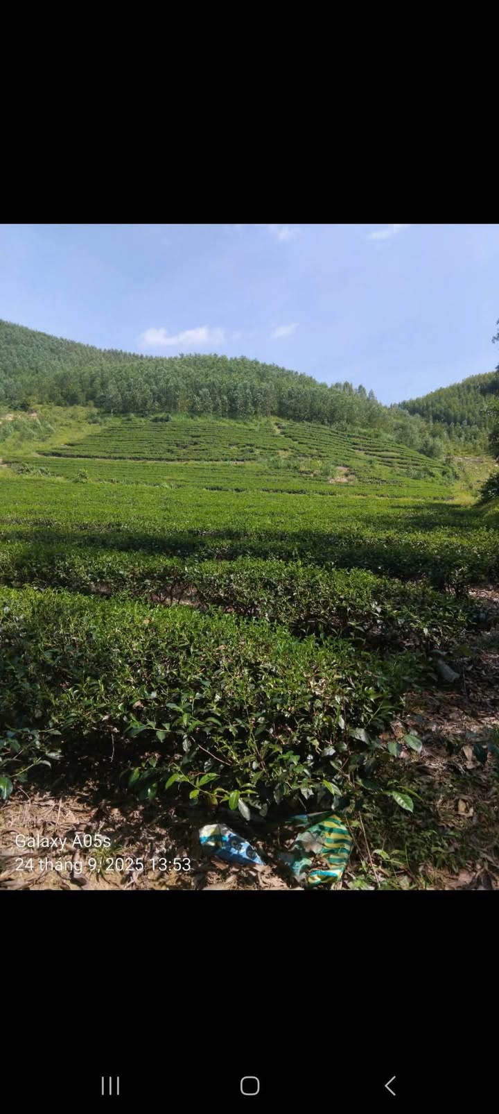 Đất rừng Thanh Thủy Thanh Chương 40,000m² - Mặt tiền đường đẹp, giá thỏa thuận!