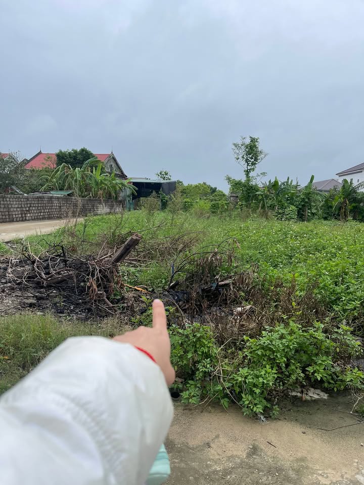 Đất nền góc 2 mặt tiền Nghi Kim, 87m² chỉ 200 triệu - Đầu tư sinh lời!