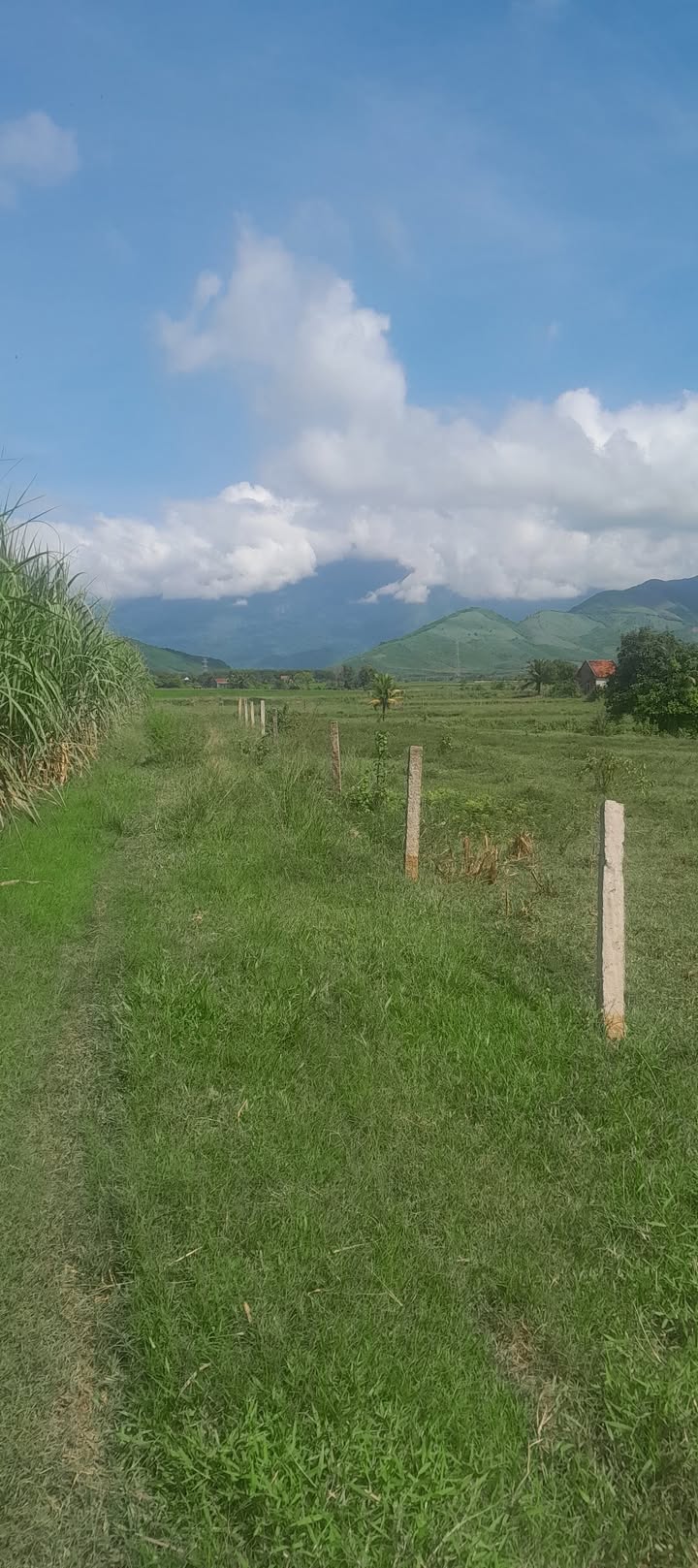 Đất nông nghiệp Thôn 4, Ninh Sơn, Bắc Ninh 15000m² giá 1.5 tỷ - Cơ hội đầu tư hấp dẫn!