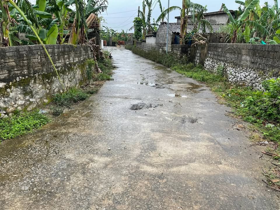 Đất nền khu phố 8, phường Quỳnh Lộc, Nghệ An 192m² giá chỉ 900 triệu - Lô góc 2 mặt tiền cực đẹp!