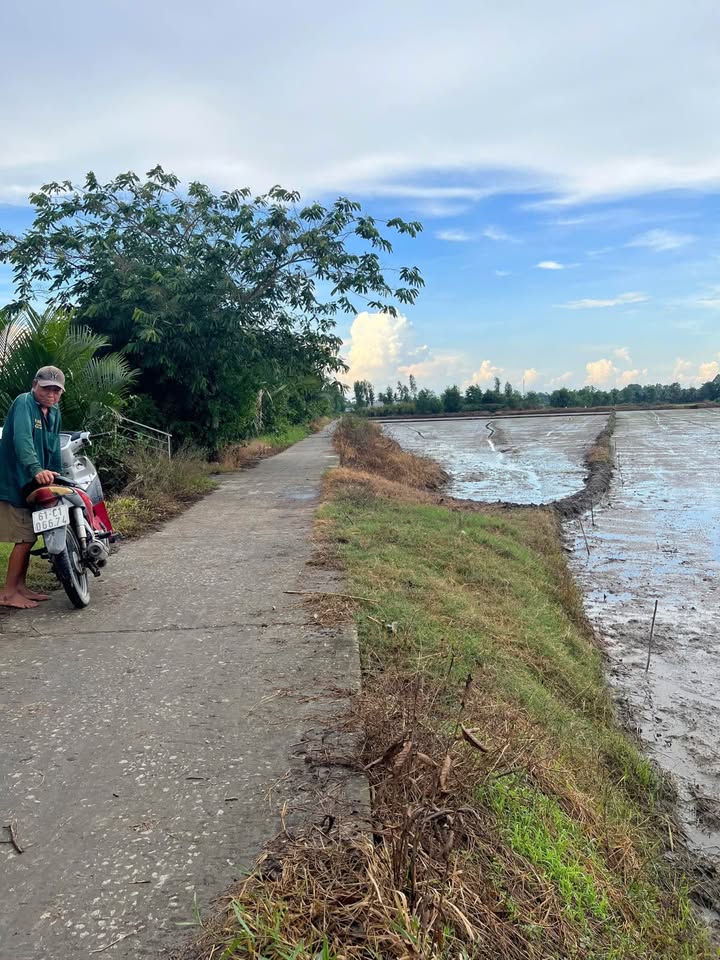 Đất ruộng 4640m² tại Thị Trấn Minh Lương, Châu Thành, Kiên Giang - Bán gấp, giá tốt!