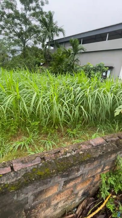 Đất nền Cự Đồng Thanh Sơn 1154m² giá 115.36 tỷ - Đầu tư sinh lời hấp dẫn!