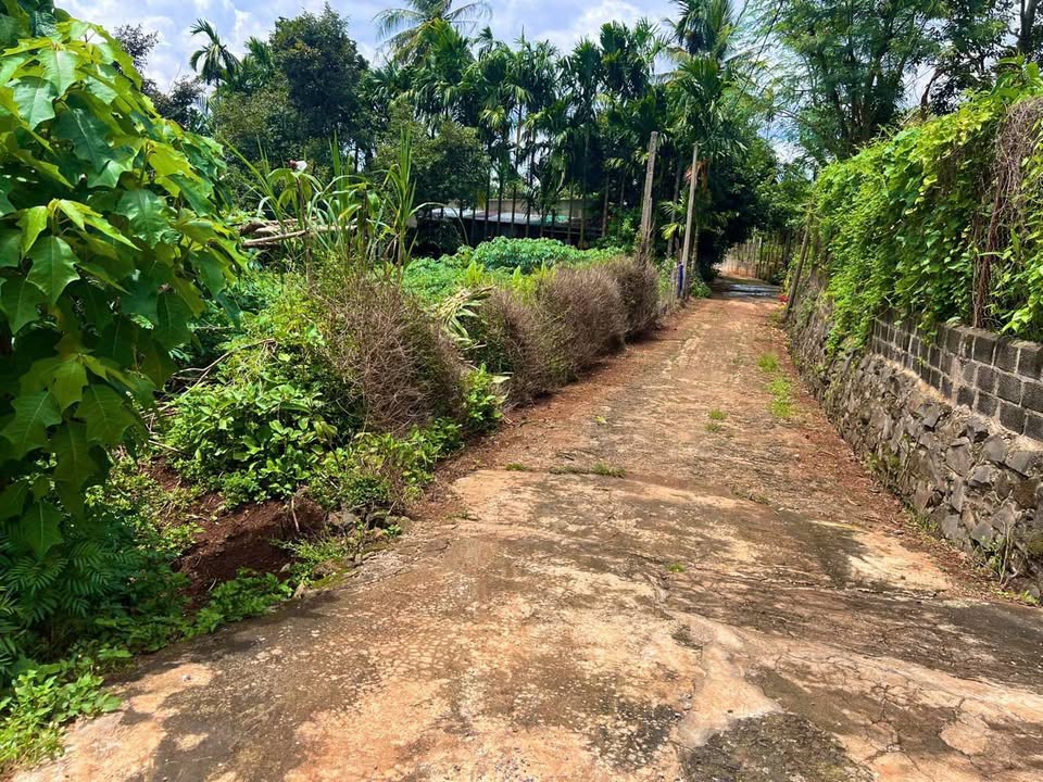 Đất nền góc 2 mặt tiền 500m² tại xã Quảng Tiến, 2 tỷ - Cơ hội đầu tư tuyệt vời!