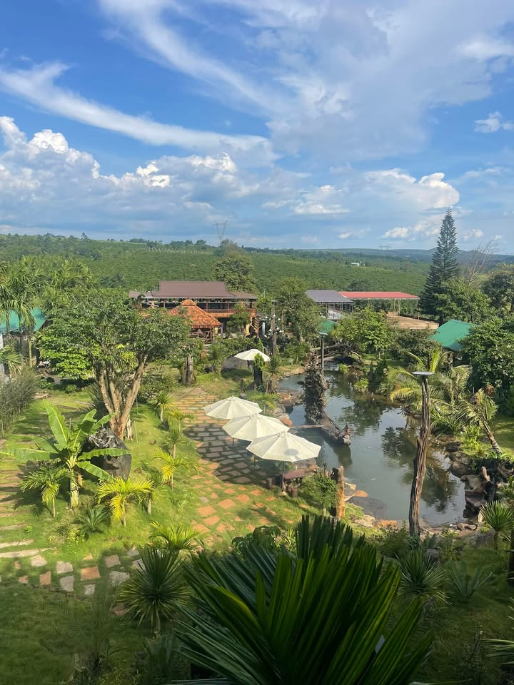 Đất thổ cư 525m² tại xã Chư Sê, giá chỉ 2.1 tỷ - Vị trí đắc địa gần chợ