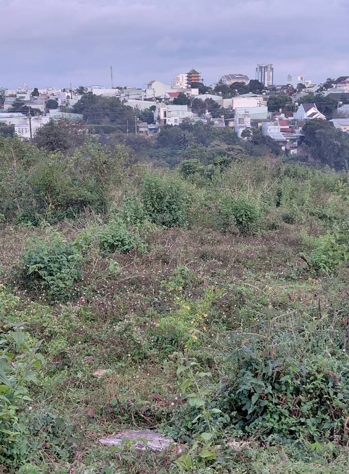 Đất thổ cư Pleiku 570m² giá 7.11 tỷ - Vị trí đẹp, thương lượng trực tiếp!