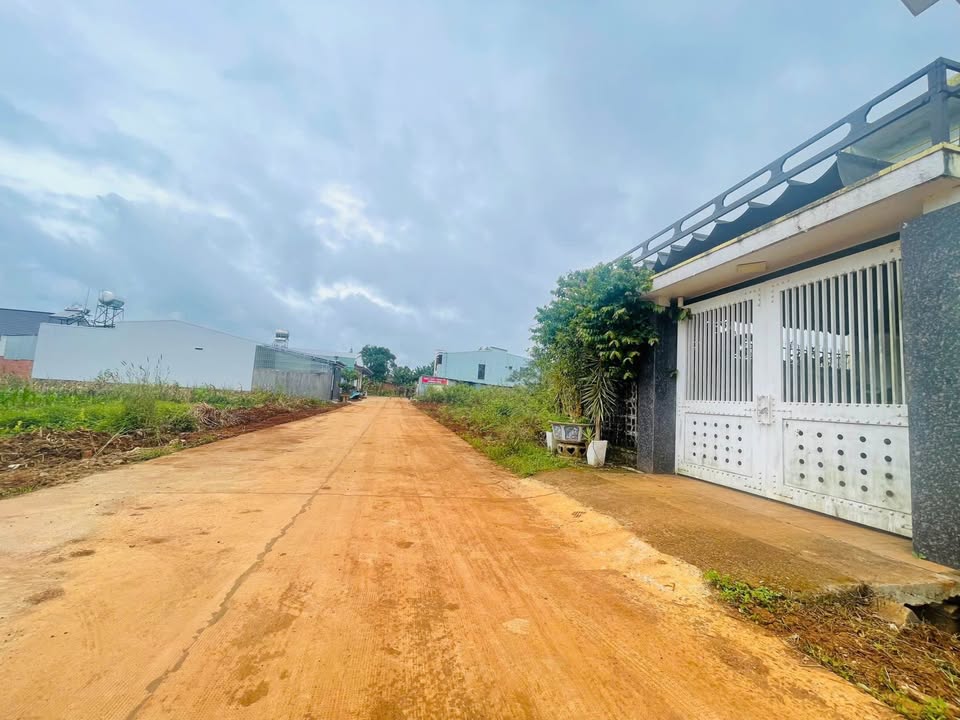 Đất thổ cư 203m² tại Hải Thượng Lãn Ông, Pleiku - Giá chỉ 1.9 tỷ, vị trí đắc địa!