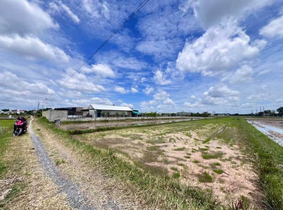 Đất lúa tại xã Mỹ Hạnh Nam, Đức Hòa, 1668.75m² giá 1.55 tỷ - Đầu tư sinh lời bất ngờ!