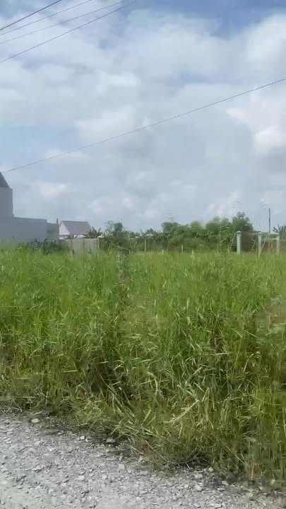 Đất nền Bến Lức 115m² giá chỉ 1.8 tỷ - Vị trí đẹp ngay chợ Gò Đen!