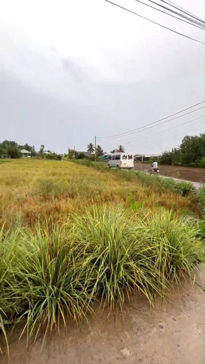 Đất nền Tân Trụ, Long An 78m² giá chỉ 290 triệu - Cơ hội đầu tư hấp dẫn!