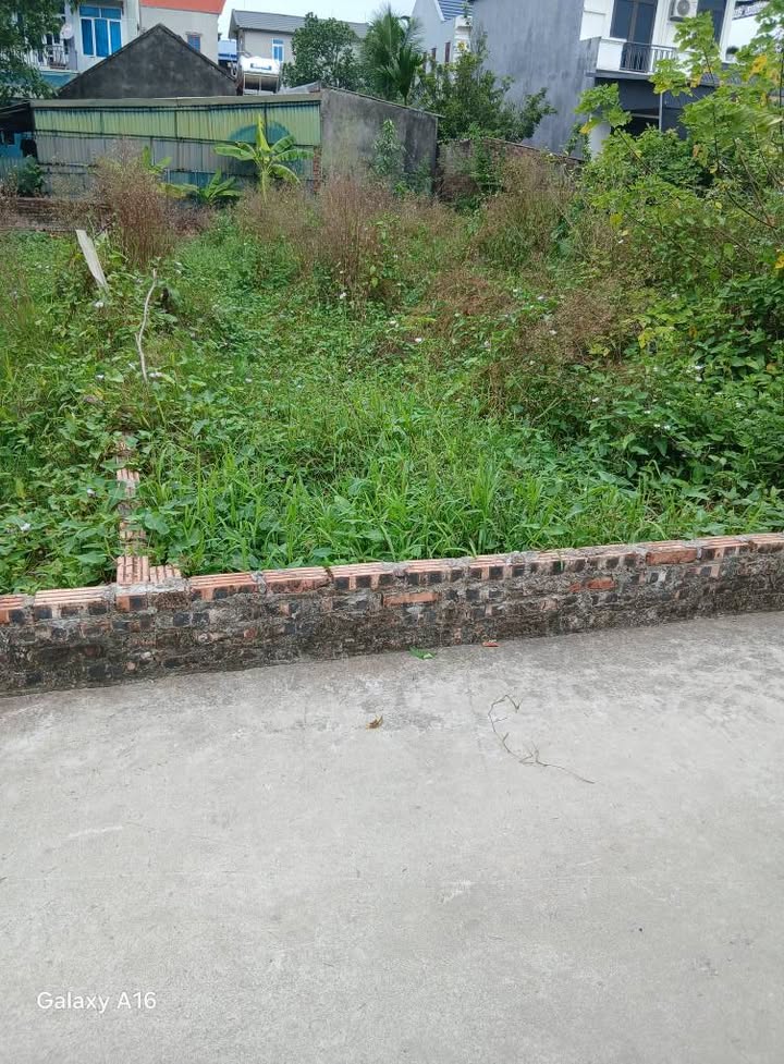 Đất mặt tiền Vĩnh Ngọc Đông Anh 76m² giá 6.55 tỷ - Khu vực tiện ích phong phú!