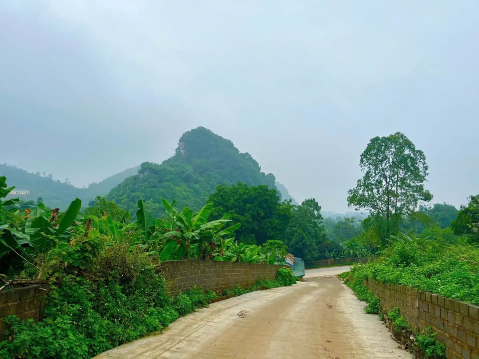 Đất nền đẹp tại Liên Sơn, Lương Sơn, Hòa Bình 743m² - Đầu tư sinh lời tiềm năng!