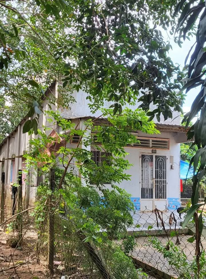 Đất nền Phú Giáo Bình Dương 1275m² - Đường thông tứ hướng, dân cư đông đúc!