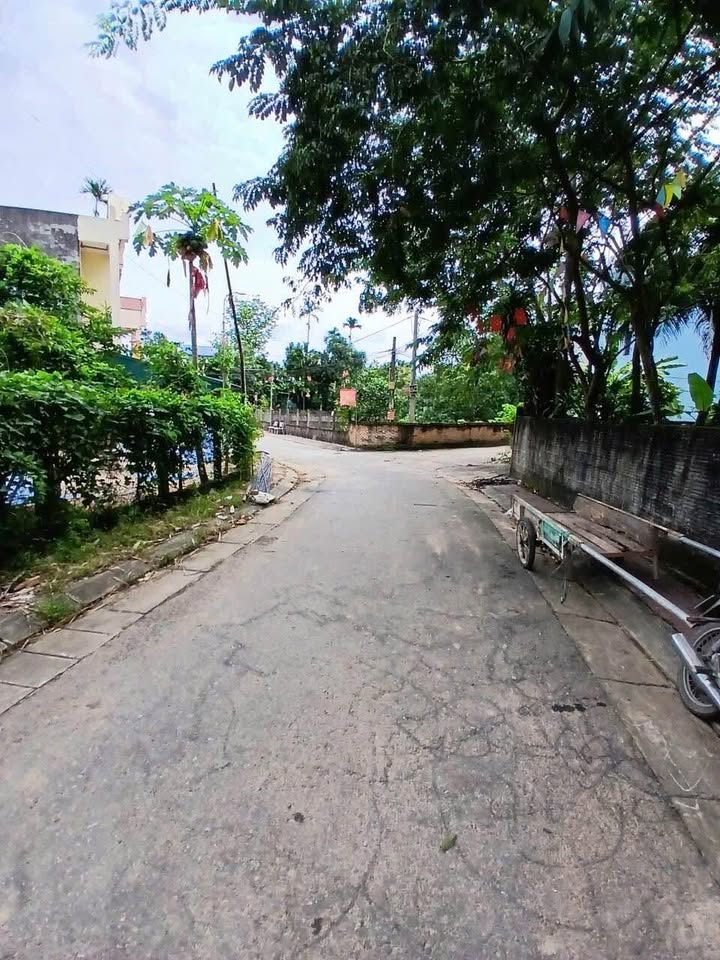 Đất thổ cư 110m² tại tổ 3, phường Ỷ La - Giá chỉ 1 tỷ, vị trí đắc địa!