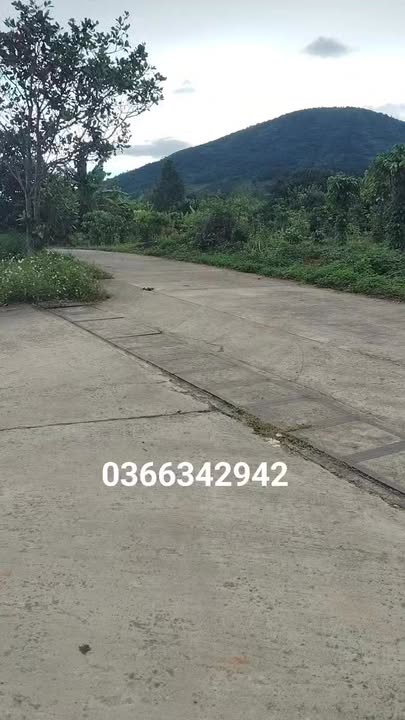 Đất nền Đạ Tông 2500m² giá chỉ 550 triệu - Đầu tư sinh lời ngay!