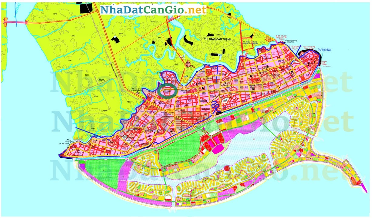 Đất thổ cư 960m² mặt tiền đường Lương Văn Nho, Cần Giờ - Cơ hội đầu tư hiếm có!