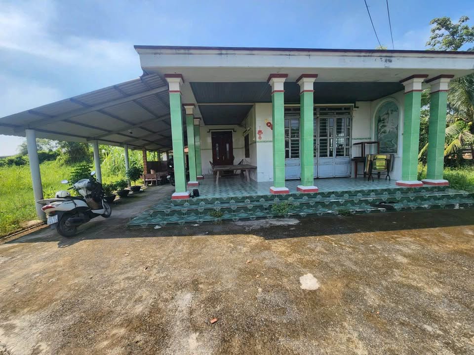 Đất thổ cư 696m² mặt tiền đường xe tải 6m tại Mỹ Hạnh Bắc, giá 5 tỷ - Cơ hội đầu tư hấp dẫn!