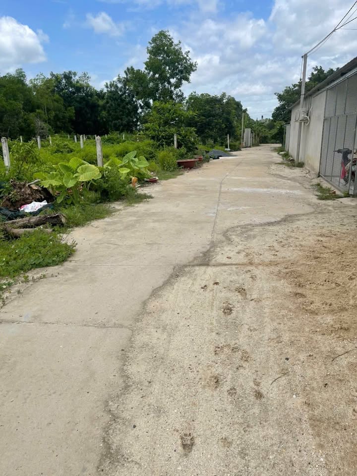 Đất nền Hảo Đước, Châu Thành, Tây Ninh 300m² - Pháp lý rõ ràng, sang tên nhanh chóng!