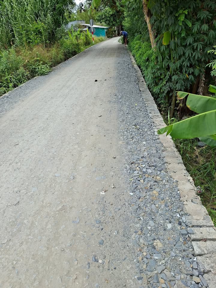 Đất nền Trường Lạc, Ô Môn, 85m² giá 550 triệu - Đầu tư sinh lời ngay!