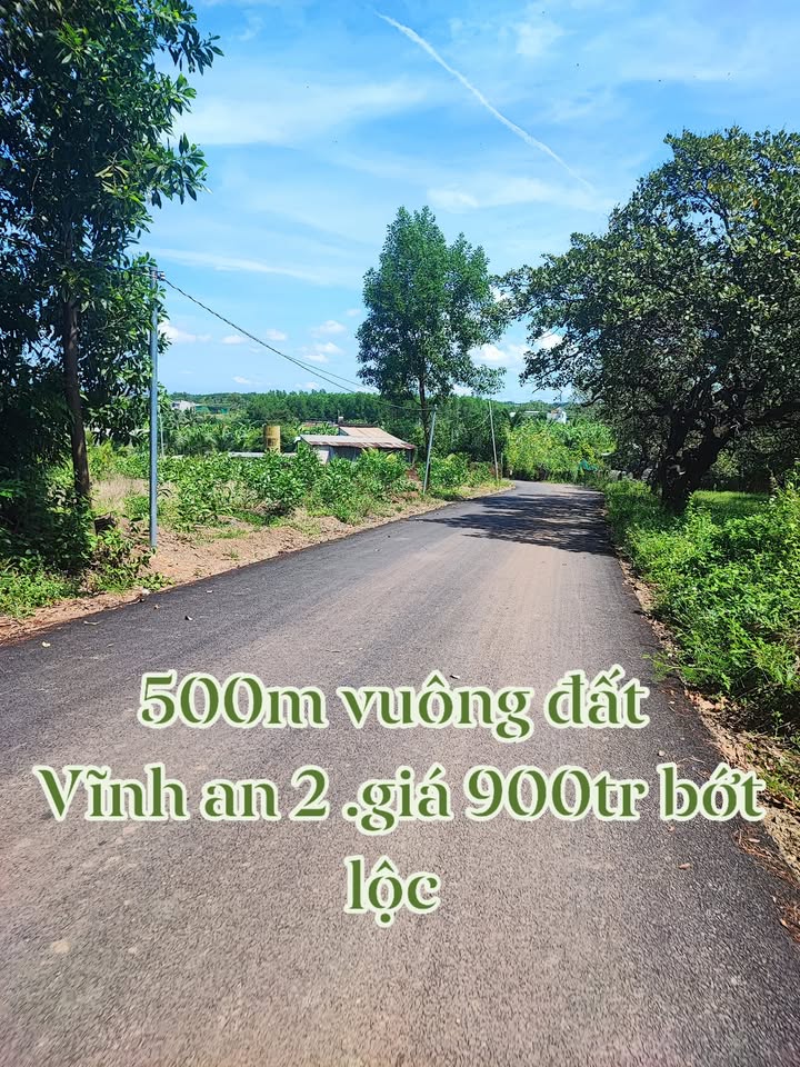 Đất nền khu phố 2 Vĩnh An 500m² giá thỏa thuận - Cần bán gấp chính chủ!