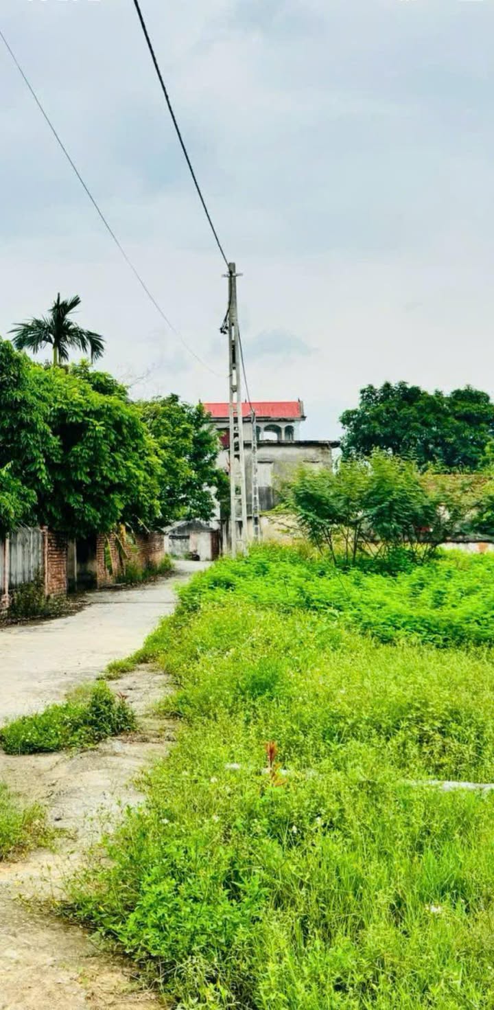 Đất Quỳnh Sơn, Yên Dũng 72m² giá 800 triệu - Đầu tư sinh lời ngay!