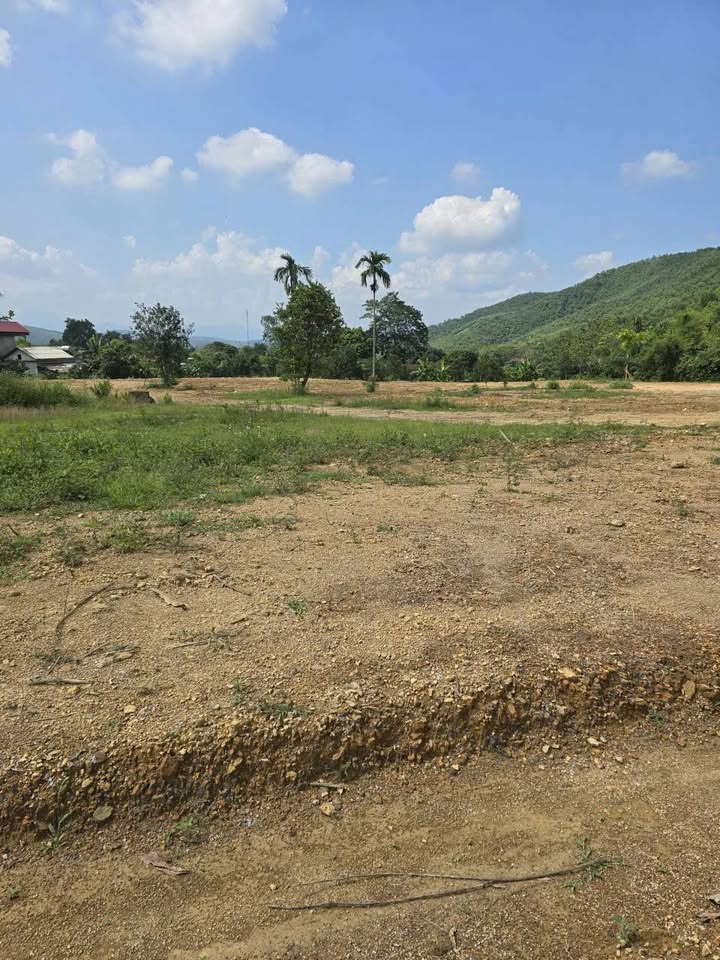 Đất nông nghiệp Võ Miếu, Thanh Sơn, Phú Thọ 6400m² - Giá chỉ 6.4 tỷ, sổ đỏ chính chủ!