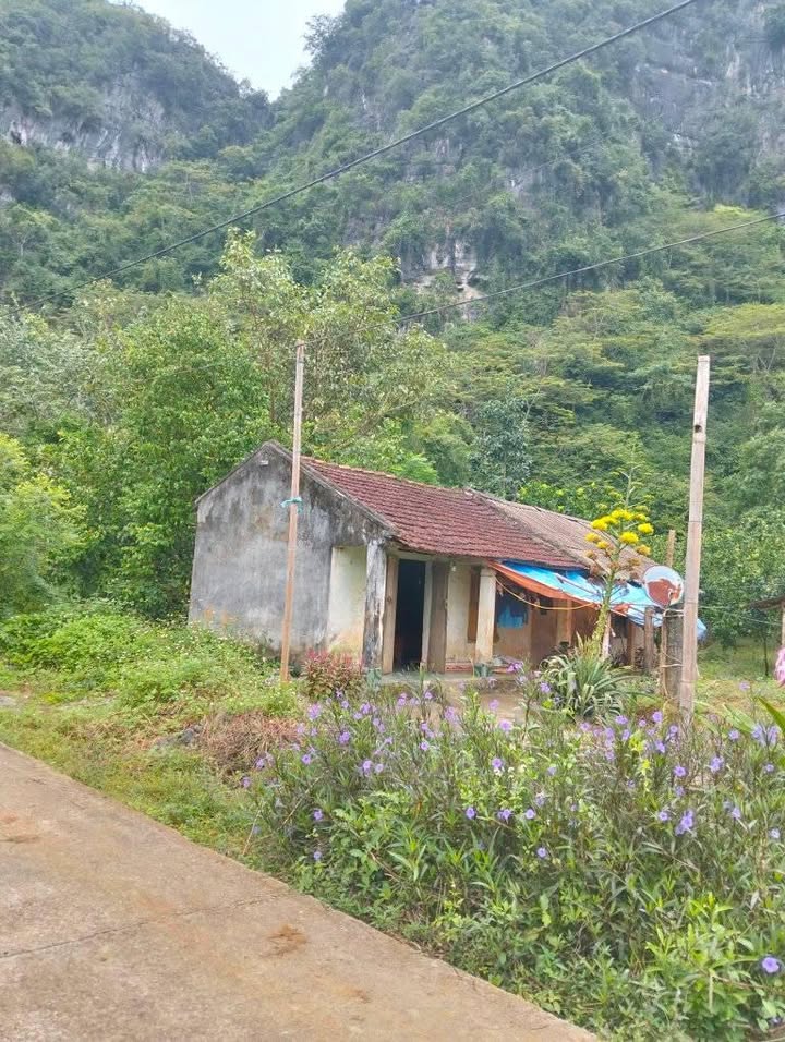 Đất Farm Lạc Lương Yên Thủy 1327m² giá 1 tỷ - Mặt tiền 23m, đầu tư sinh lời!