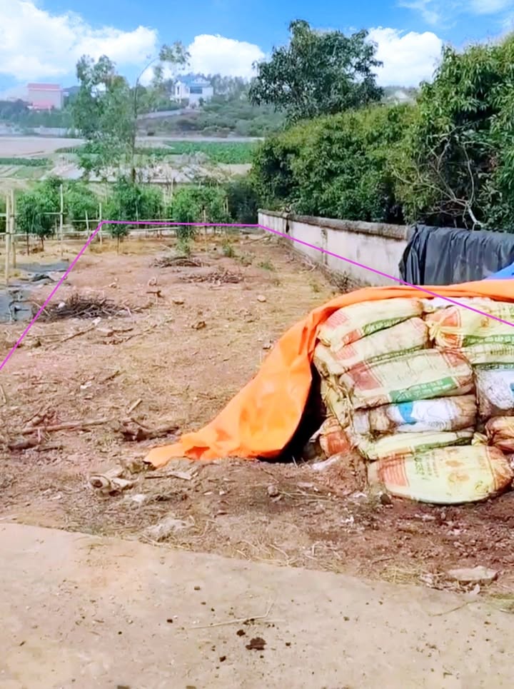 Đất nền Lục Nam Bắc Giang 220m² - Mặt tiền 7m, vị trí đắc địa!