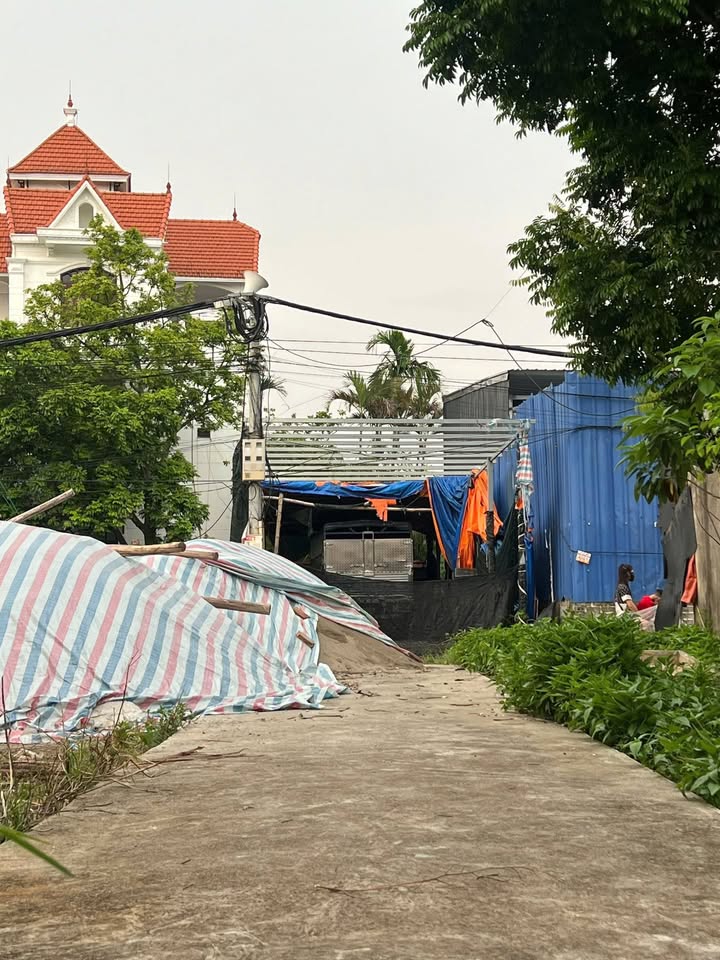 Đất Thư Phú Thường Tín 50m² giá 2 tỷ - Đầu tư sinh lời ngay!