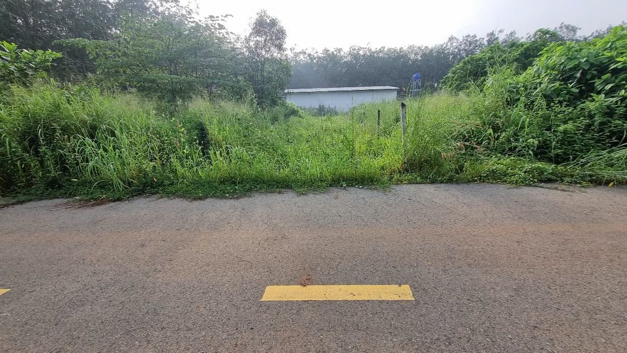 Đất nền Lai Hưng Bàu Bàng 3600m² - Mặt tiền đường nhựa thông thoáng!