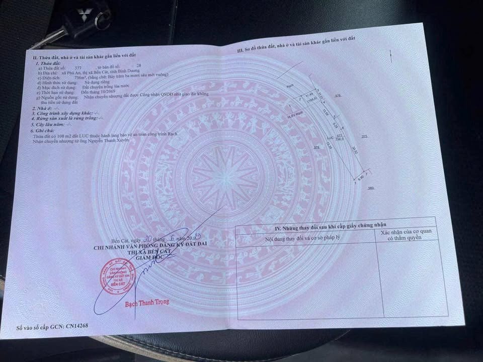 Đất Ruộng Phú An Bến Cát 732m² giá 800 triệu - Cơ hội đầu tư hấp dẫn!