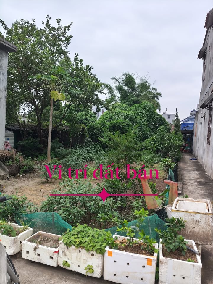 Đất nền Hải Phúc, Hải Hậu 222m² - Giá mềm cho nhà đầu tư!