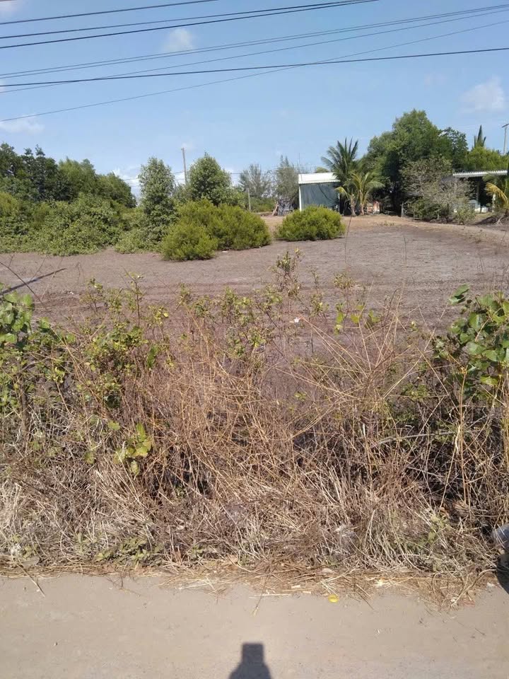 Đất mặt tiền đường DT978B Vĩnh Hậu 784m² giá 2.2 tỷ - Cơ hội đầu tư hấp dẫn!