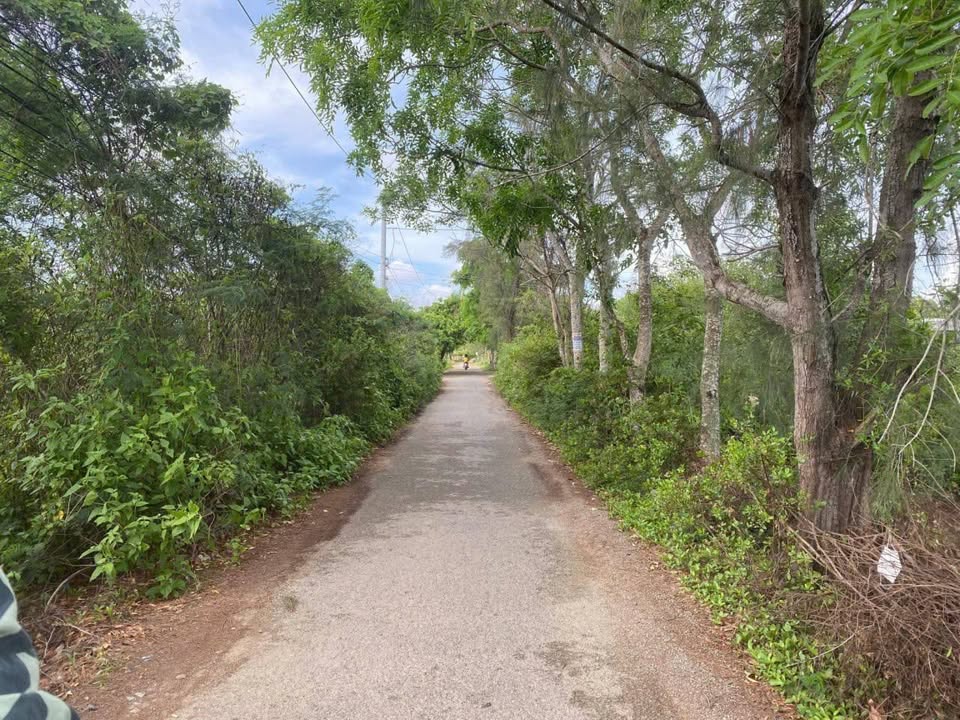 Đất nền đường Đặng Văn Tiếu Bạc Liêu 1499m² giá 1.98 tỷ - Pháp lý rõ ràng