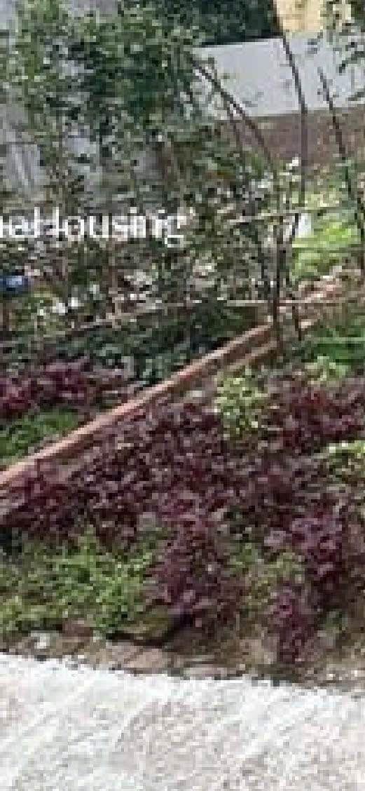 Đất nền Đặng Xá - Gia Lâm 43m² giá 2 tỷ - Ngõ rộng, gần chợ và trường học!