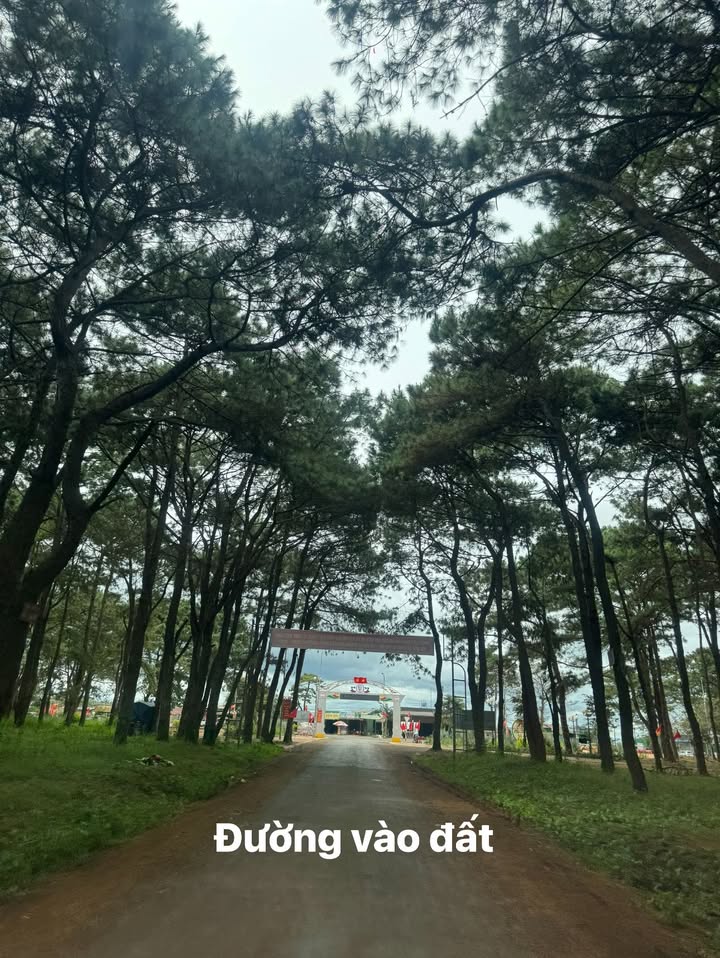 Đất nền xã Krông Búk 300m² giá 750 triệu - Cơ hội đầu tư tuyệt vời!