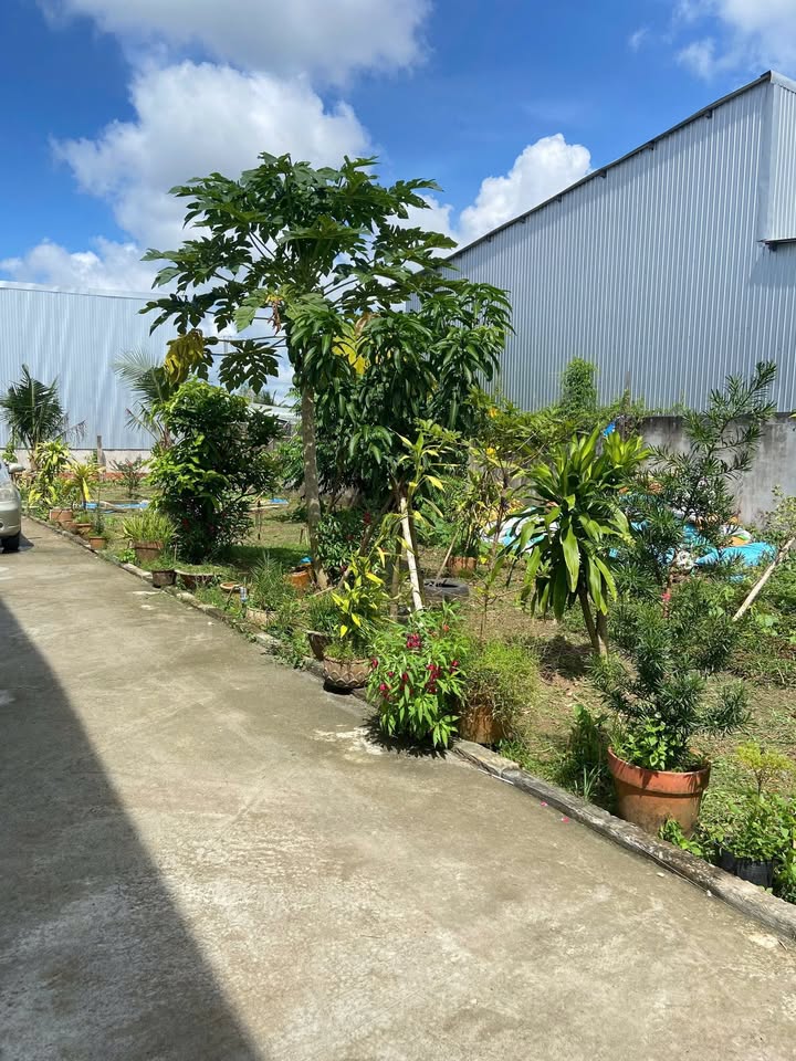 Đất nền Thường Thạnh Cái Răng 300m² giá 2.5 tỷ - Vị trí đắc địa cho kinh doanh!