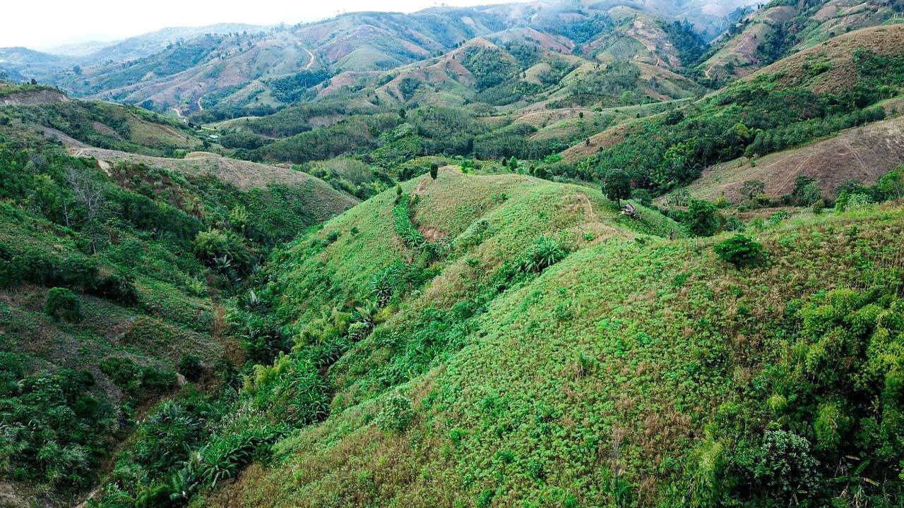 Đất nông nghiệp Đắk Xú, Ngọc Hồi 20.000m² giá chỉ 300 triệu - Cơ hội đầu tư hấp dẫn!