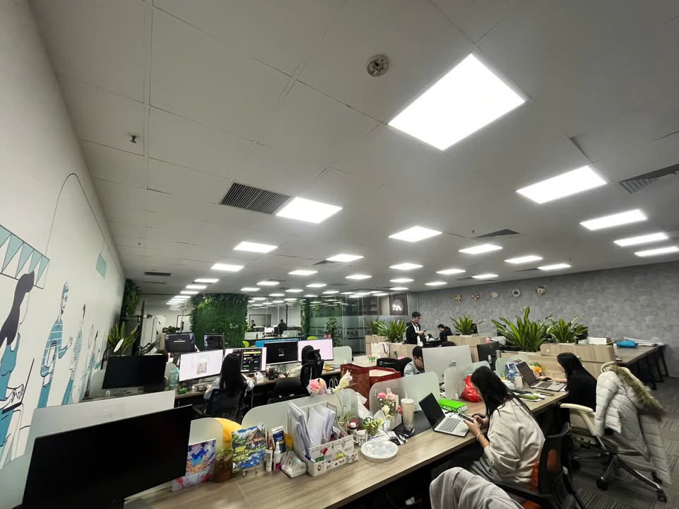 Cho thuê sàn văn phòng Dolphin Plaza 303m² - Không gian làm việc hiện đại!